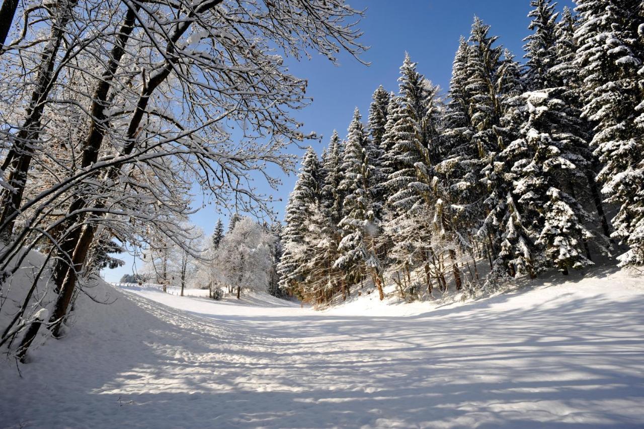 Alpenresidenz Adler Kirchberg in Tirol Exterior foto